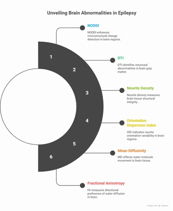 cortical and subcortical gray matter in patients with MRI-negative {faces}